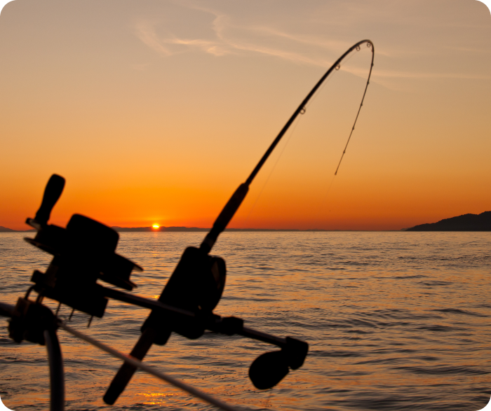 pesca